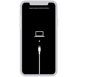 iPhone X or later Restore Screen While Connecting to iTunes - Unlock iCloud Activation